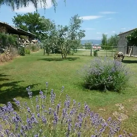 Villa Funghi 1